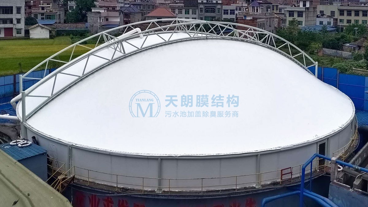 瀏陽(yáng)市反吊膜加蓋-3